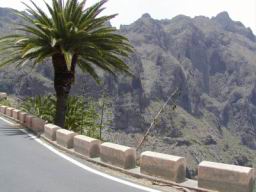 Resize of P1010099.JPG